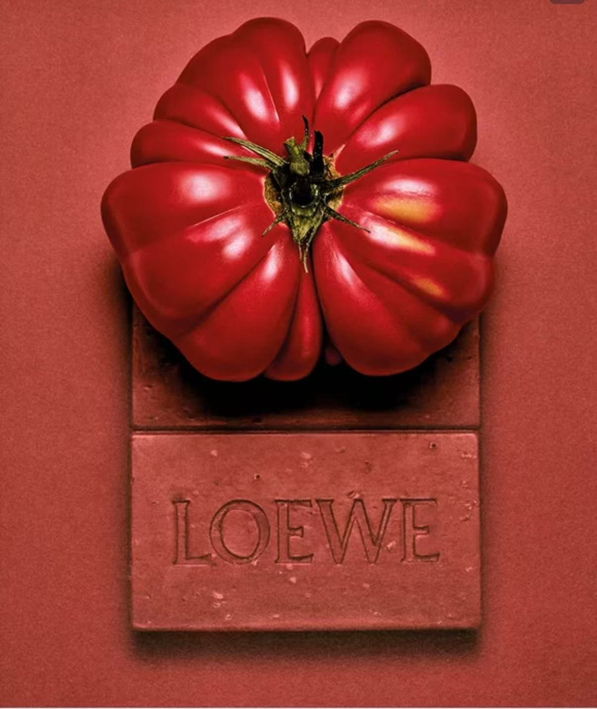 LOEWE Perfumes tomato leaf campaign visual